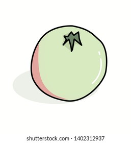 vector illustration of a pomegranate with a white background