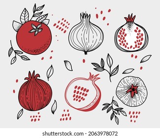 Vektorgrafik mit Granatgranaten. Rote und weiße Grafiken. Ertrinken im Doodle-Stil. Biologische und gesunde Lebensmittel.