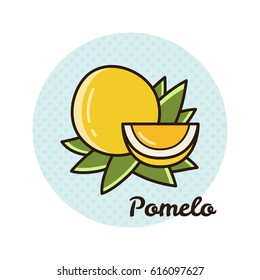 Vector illustration of pomelo.