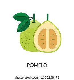 Vector illustration of a pomelo, conveying juiciness and bright color. Ideal for fresh and lively designs.