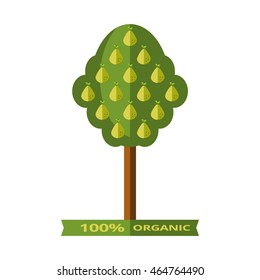 Vector illustration of pomelo tree  isolated on white background. Flat style.