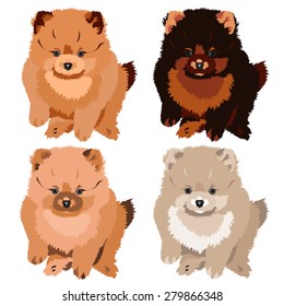 Vector Illustration pomeranian Spitz Dog Puppy. 4 colors: white, peach, brown and yellow.