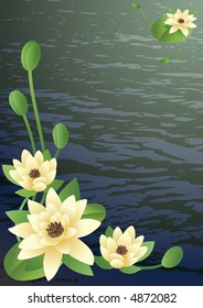 Vector illustration - a pond with fine blossoming lilies