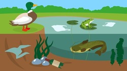 Vector Illustration Of A Pond With A Frog, A Duck And A Catfish.