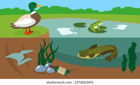 Vector illustration of a pond with a frog, a duck and a catfish.