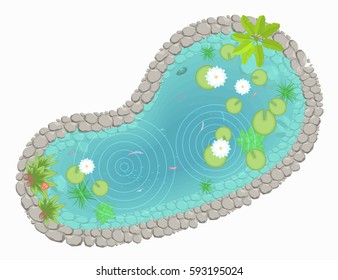Vector illustration. Pond with lotuses. (Top view) Lake with fish and plants. (View from above)