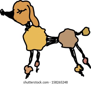 Vector illustration of a poodle