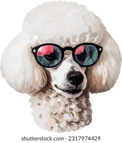 vector illustration poodle dog cartoon style