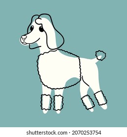 Vector illustration of a poodle dog on an isolated white background in hand drawn style