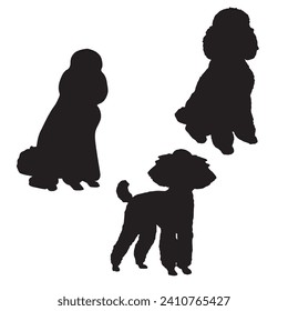 Vector Illustration of Poodle Silhouette