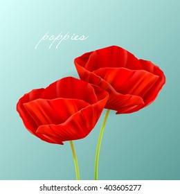 Vector illustration of poppies