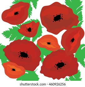 vector illustration of poppies seamless background