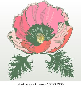 Vector illustration "Poppy"