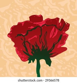Vector illustration of poppy flower