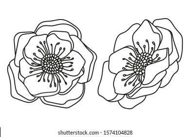 Vector illustration. Poppy flowers. Black outline. Coloring page.