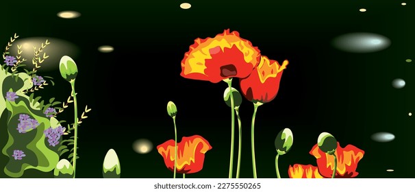 vector illustration of poppy flowers on the dark green background.