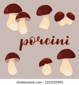 vector illustration of porcini mushrooms isolated with lettering porcini background gray EPS10