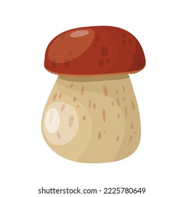 Vector illustration, porcini mushrooms, Isolated, white background. 
Cep mushroom. Vegetarian fungi boletus for food. Nature darner for healthy nutrition. EPS 10.