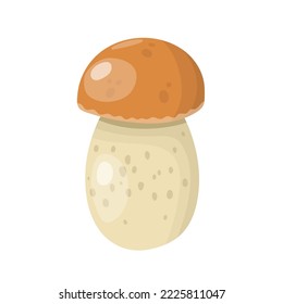 Vector illustration, porcini mushrooms, Isolated, white background. 
Cep mushroom. Vegetarian fungi boletus for food. Nature darner for healthy nutrition. EPS 10.