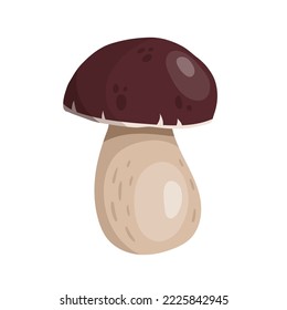 Vektorgrafik, Porcini-Pilze, isolierter, weißer Hintergrund. 
Schlafpilz. Vegetarische Pilzboletus für Nahrung. Die Natur ist ein Liebhaber gesunder Ernährung. EPS10.