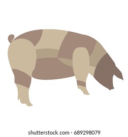 vector illustration of pork diagram without definitions