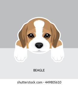 Vector Illustration Portrait of Beagle Puppy. Dog isolated.
