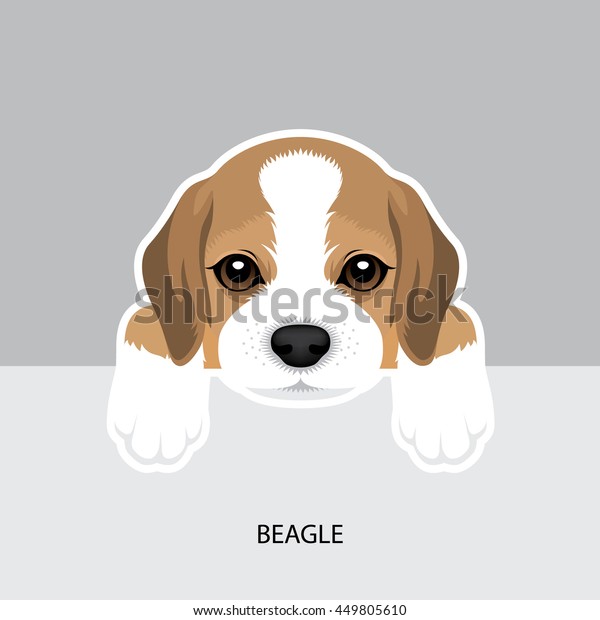 ビーグルの子犬のベクターイラスト 犬 のベクター画像素材 ロイヤリティフリー