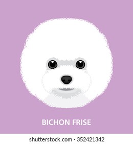 Vector Illustration Portrait of Bichon Frise Puppy. art of dog face