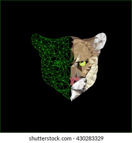 Vector illustration portrait of a big wild cat on a dark background
