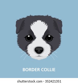 Vector Illustration Portrait of Border Collie Puppy. art of dog face