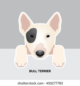 Vector Illustration Portrait of Bull Terrier Puppy. Dog isolated