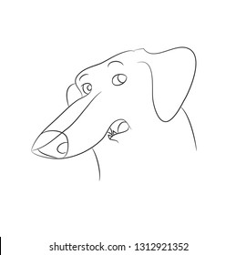 Vector illustration of a portrait of a cartoon dachshund drawing with lines