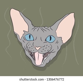 vector illustration, portrait of a cat, bright background, vector