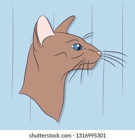 vector illustration, portrait of a cat, bright background, vector