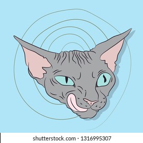 vector illustration, portrait of a cat, bright background, vector