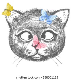 Vector illustration of a portrait of a cat. Kitten looking at butterfly