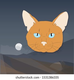 vector illustration of a portrait of a cat on a colored background, bright background, vector