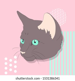 vector illustration of a portrait of a cat on a colored background, bright background, vector