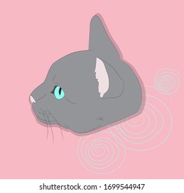 vector illustration of a portrait of a cat on a colored background, bright background, vector