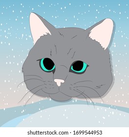 vector illustration of a portrait of a cat on a colored background, bright background, vector
