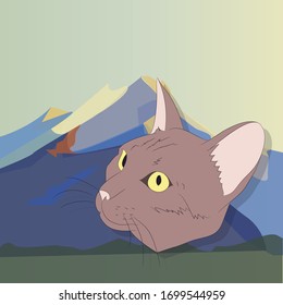 vector illustration of a portrait of a cat on a colored background, bright background, vector