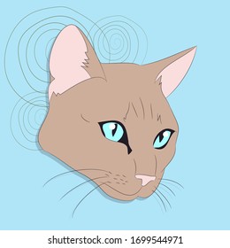 ilustración vectorial de un retrato de un gato sobre un fondo de color, fondo brillante, vector