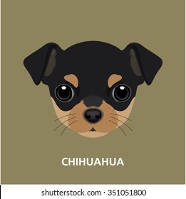 Vector Illustration Portrait of Chihuahua Puppy. Face of a Dog