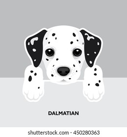 Vector Illustration Portrait of Dalmatian Puppy. Dog isolated
