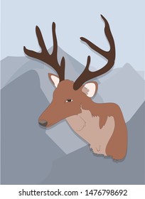 vector illustration portrait of a deer on a colored background, vector
