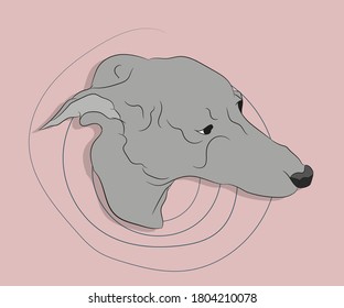 vector illustration of a portrait of a dog on a bright background, vector