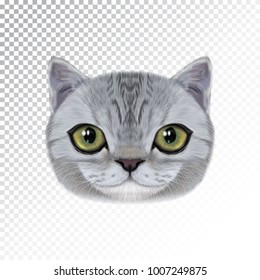 Vektorgrafik-Portrait von Hauskatze. Frisch realistisches Gesicht der grauen gestreiften Farbkatze zum Druck auf Kissen.