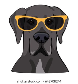 Vector Illustration Portrait of Great Dane. Dog isolated. Flat design. Color vector icon illustration.