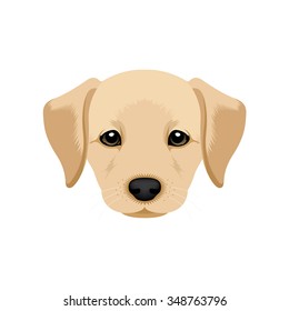  Vector Illustration Portrait of Labrador Retriever Puppy