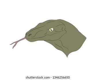 vector illustration portrait of a lizard, vector, white background